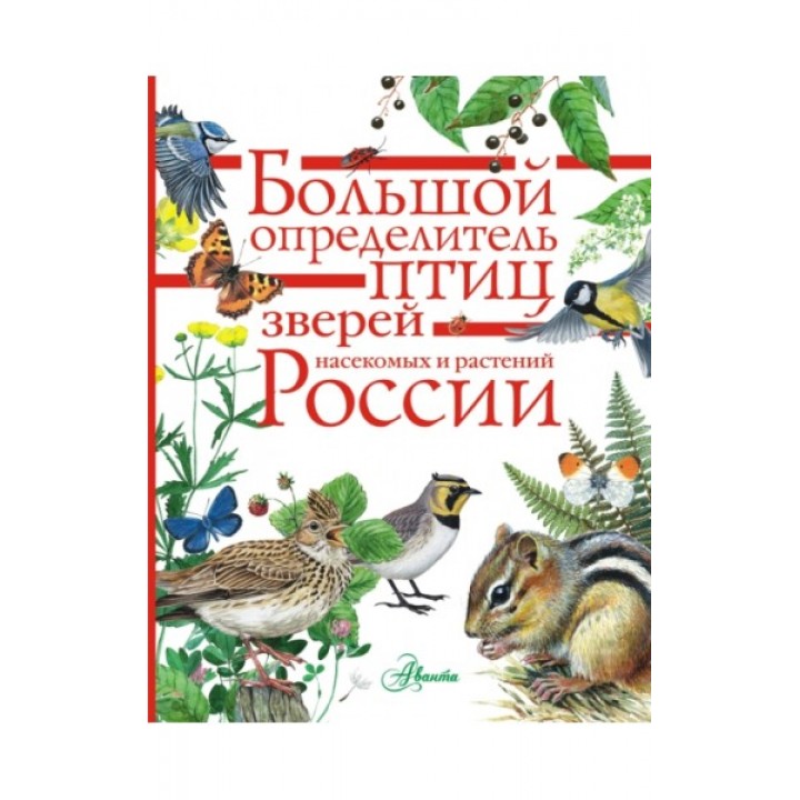 Большой определитель зверей, амфибий, рептилий, птиц, насекомых и растений России